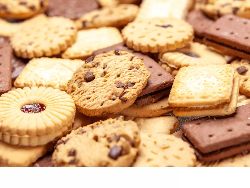 A dog best sale eat 80 biscuits